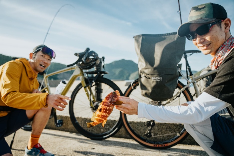 写真：Bicycle Club