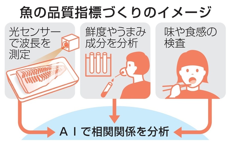 魚の品質指標づくりのイメージ