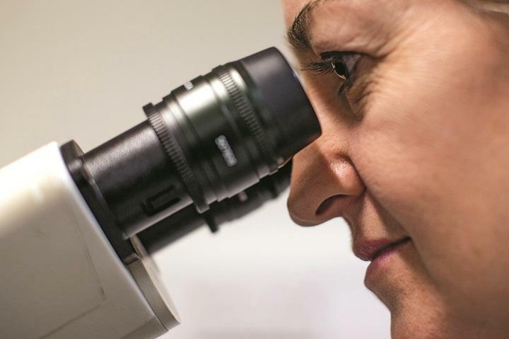蛍光顕微鏡で癌細胞の塊を観察　DAN KITWOOD/GETTY IMAGES