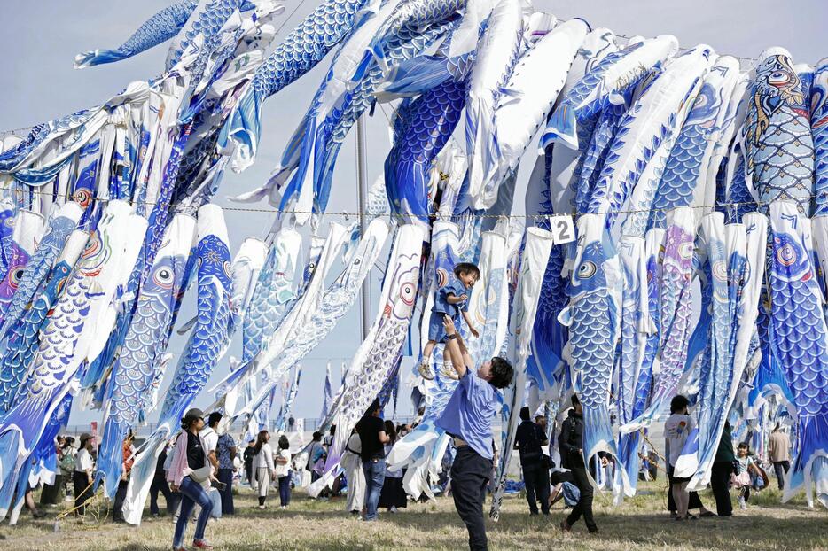 東日本大震災で被災した宮城県東松島市で開かれた「青い鯉のぼりまつり」。能登半島地震の被災地など全国から集まった約550匹のこいのぼりが元気よく空を泳いだ＝5日午後