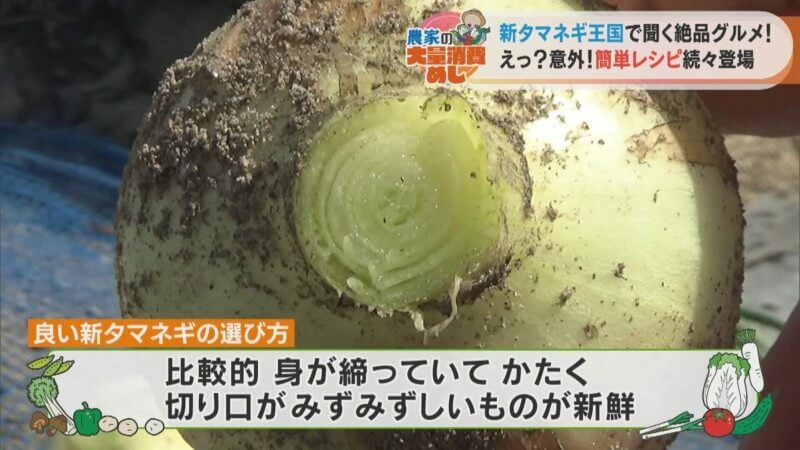 CBCテレビ：画像 『チャント！』