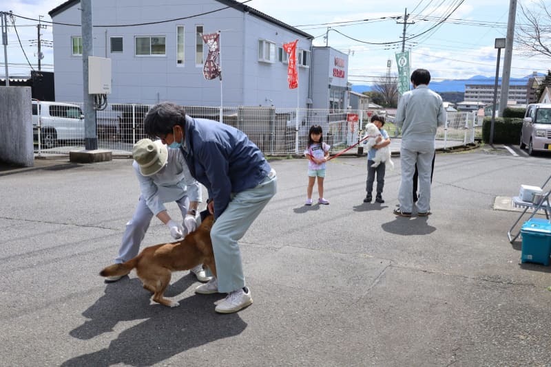 狂犬病の集団注射の様子＝２０２４年４月、群馬県安中市