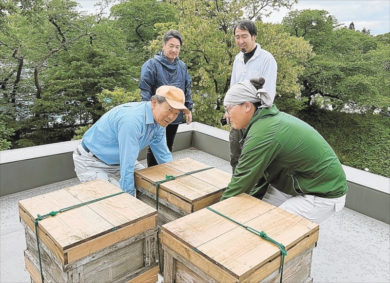 鶴ケ城公園近くの勤労青少年ホームの屋上に巣箱を設置する伊藤さん（左奥）ら