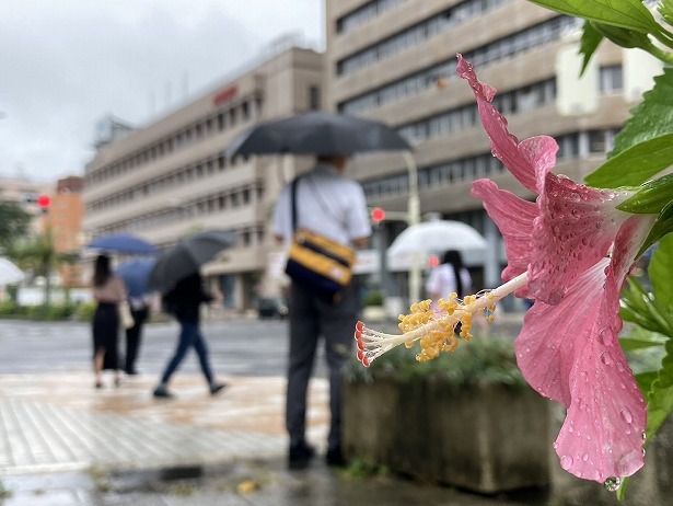 全国一早く梅雨入りした沖縄地方＝21日午前、那覇市内