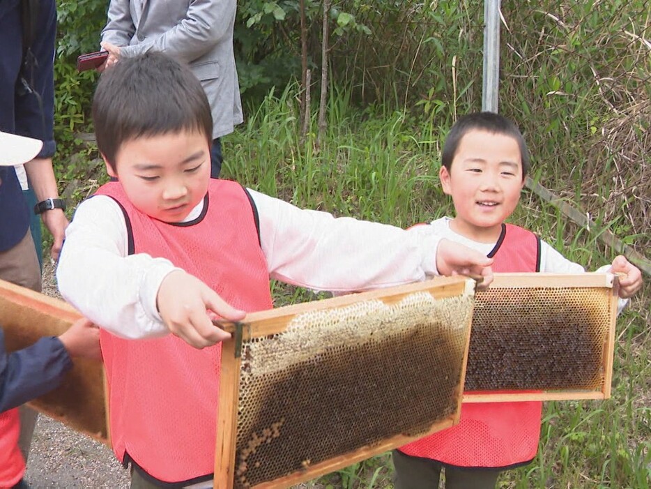 ハチミツ採取を体験する子供たち 愛知県岡崎市の東公園動物園