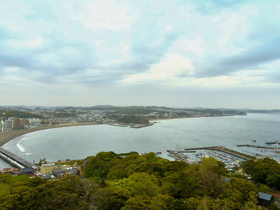 「江の島シーキャンドル」から望む江の島と湘南の風景。入場料は500円
