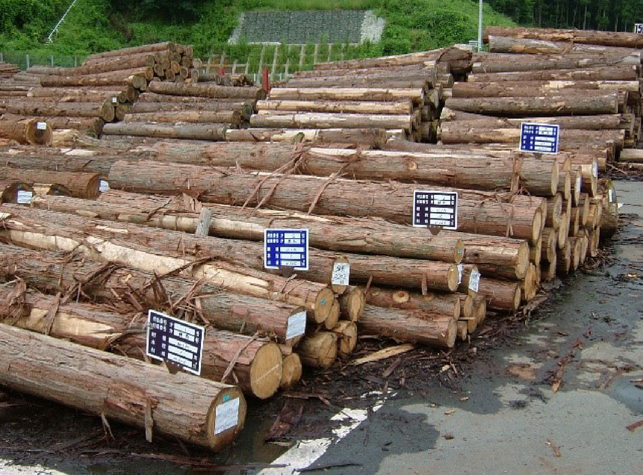 写真 2　木材市場の椪積
