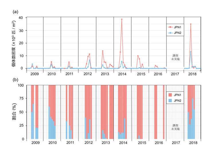 2009年から18年まで1カ月ごとに計測したミジンコ2集団の個体数密度（グラフ上）と、JPN1とJPN2の割合。JPN1が常に多いが、両集団ともほとんどの年で春に出現し秋になる前にいなくなった（宇都宮大学の丸岡奈津美博士研究員提供）