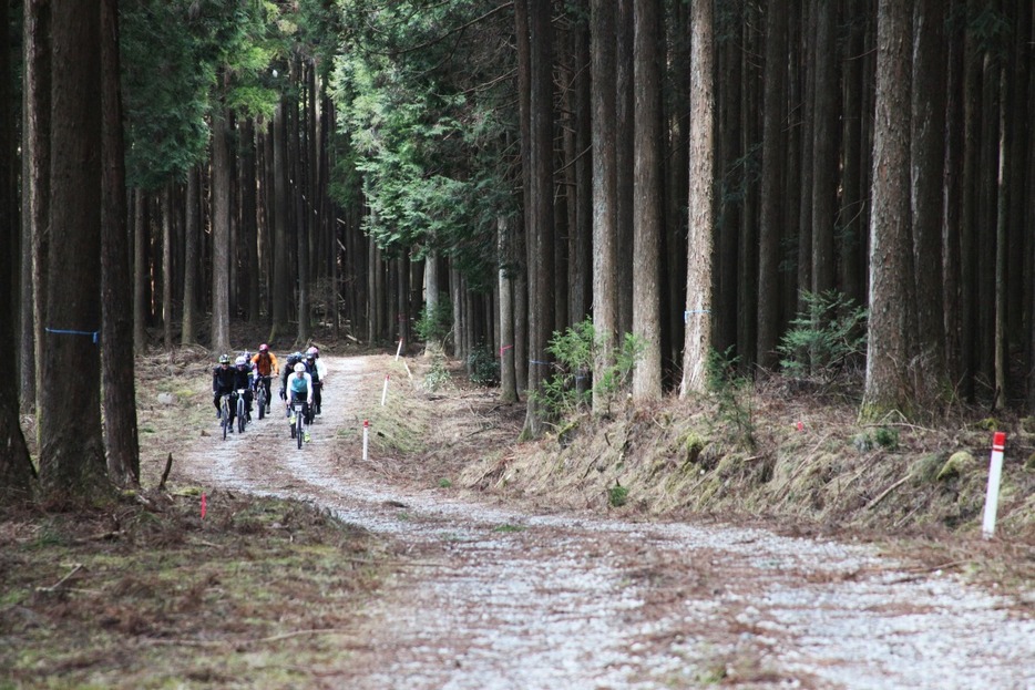 写真：Bicycle Club