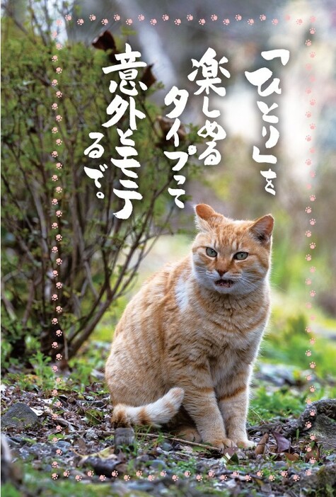 籔本正啓（ネコ坊主）『ネコさんの「心にしみる」おひとりさま名言』（双葉社）