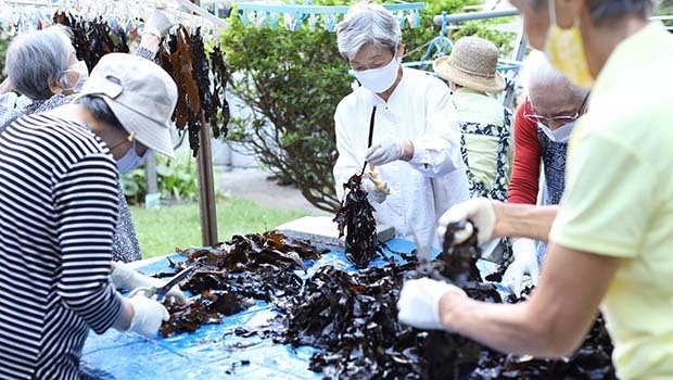 鎌倉海藻ポーク作りのため作業をする「きしろホーム」の利用者たち