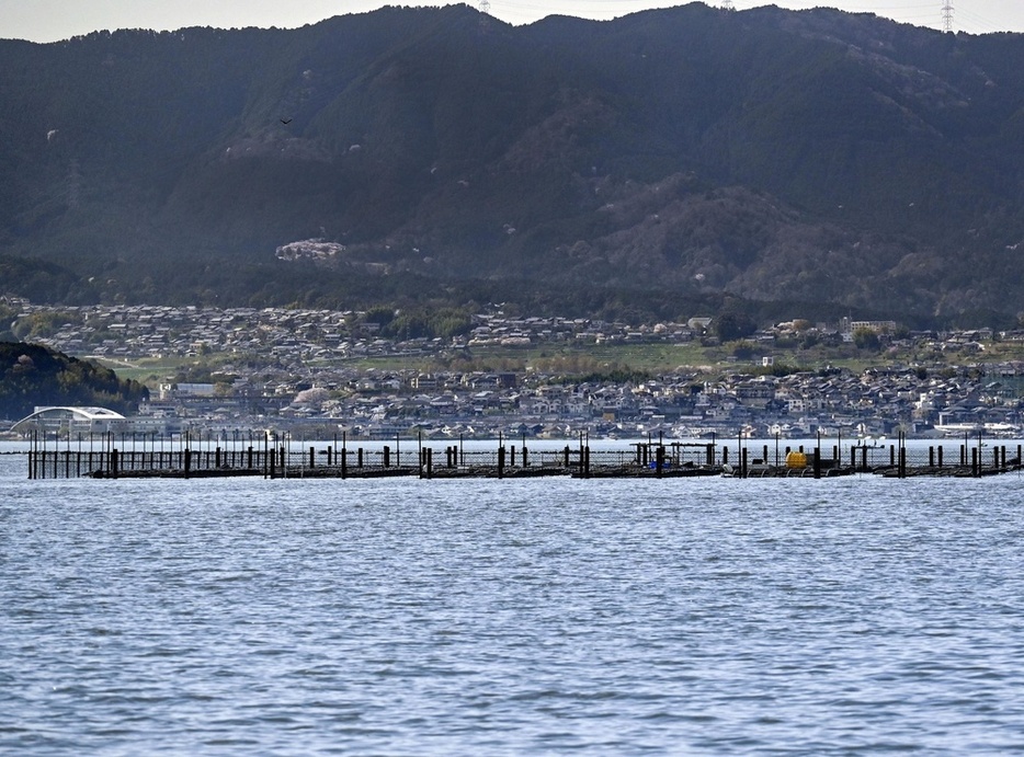 琵琶湖の真珠養殖場