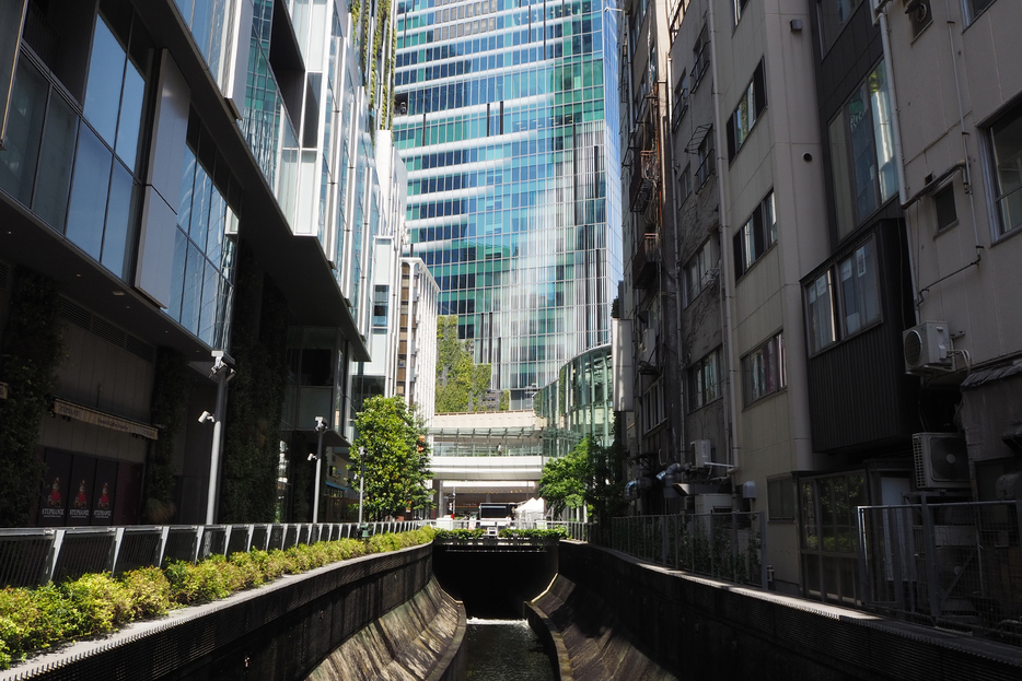 地下に吸い込まれていく渋谷川。ここから暗渠がはじまる。