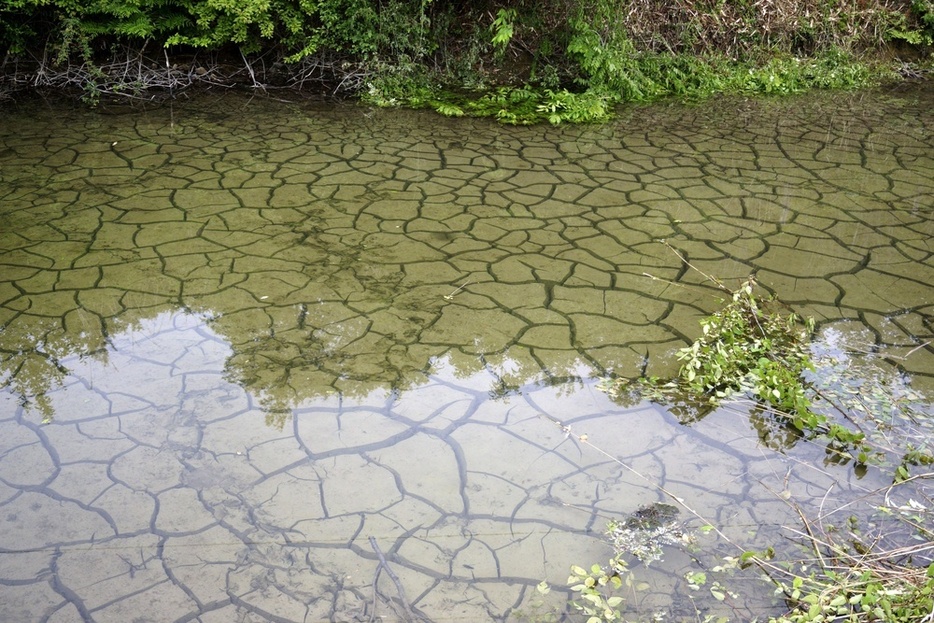 リニア中央新幹線のトンネル掘削工事が行われている岐阜県瑞浪市で、水位が低下したため池。底はひび割れていた＝15日