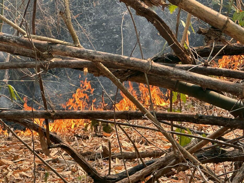 山中で燃え広がる炎＝2024年3月、タイ・チェンマイ（共同）