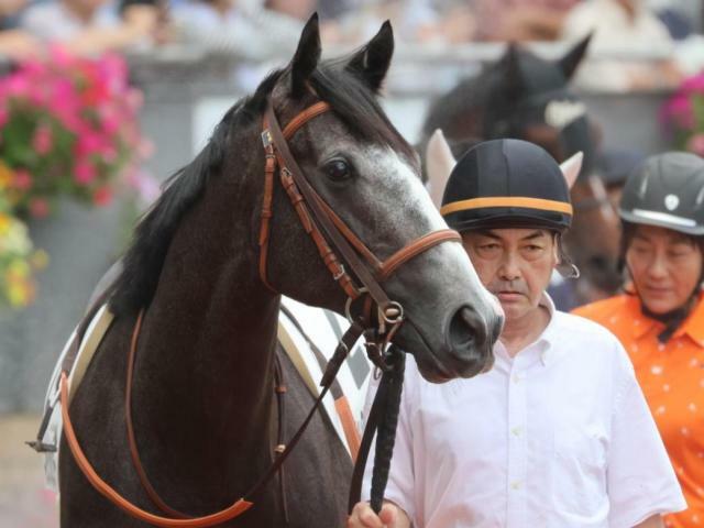 待望の初勝利を目指すマックスセレナーデ(昨年7月撮影、ユーザー提供：Oneさん)