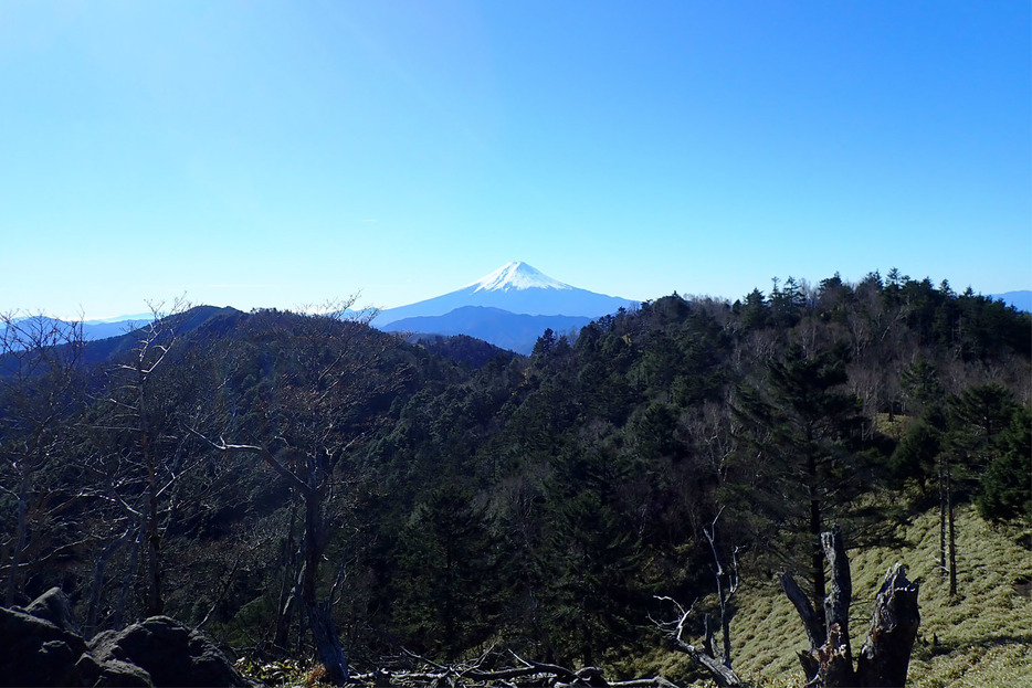小金沢山から望む富士山
