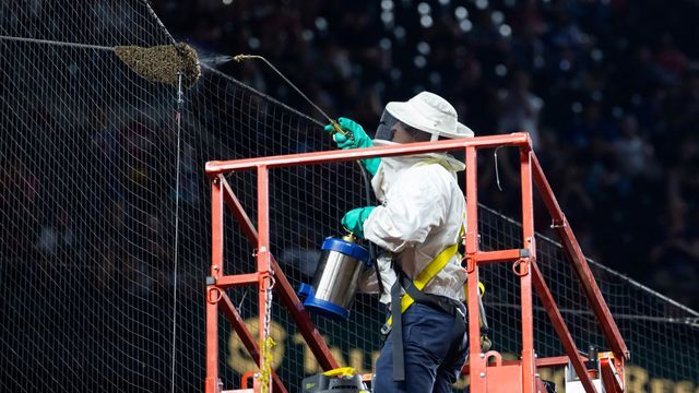 チェイス・フィールドの蜂を駆除した業者の男性(写真：USA TODAY Sports/ロイター/アフロ)