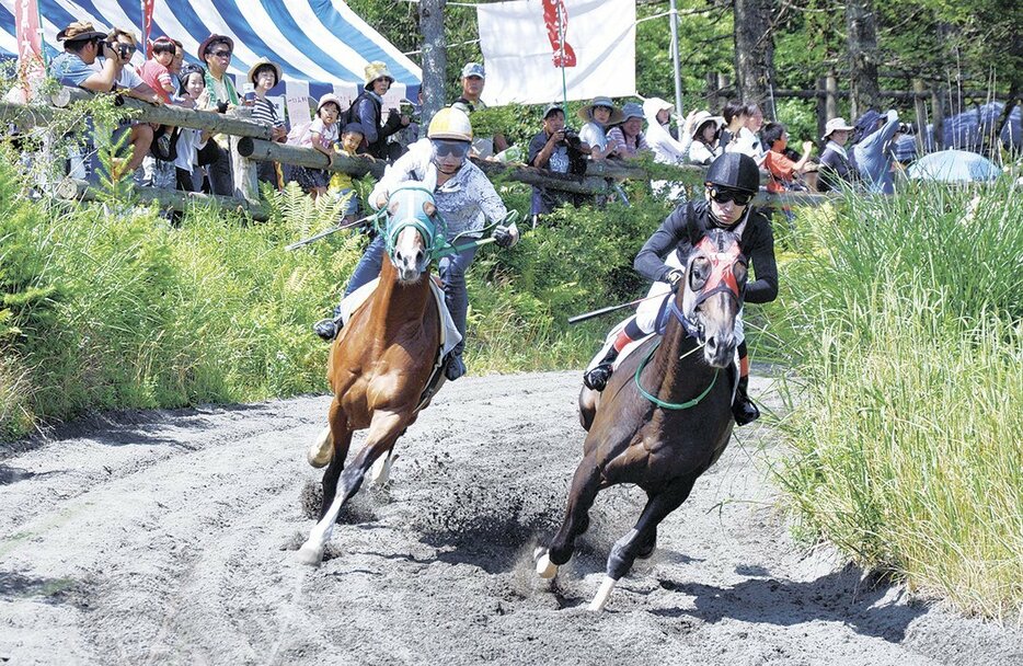 最後となった66回大会で勢いよく駆け抜ける出走馬（令和元年）