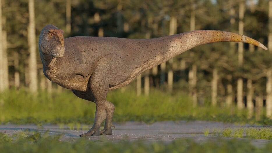 新たに発見された恐竜コレケンの復元図。（ILLUSTRATION BY GABRIEL DIAZ YANTÉN）