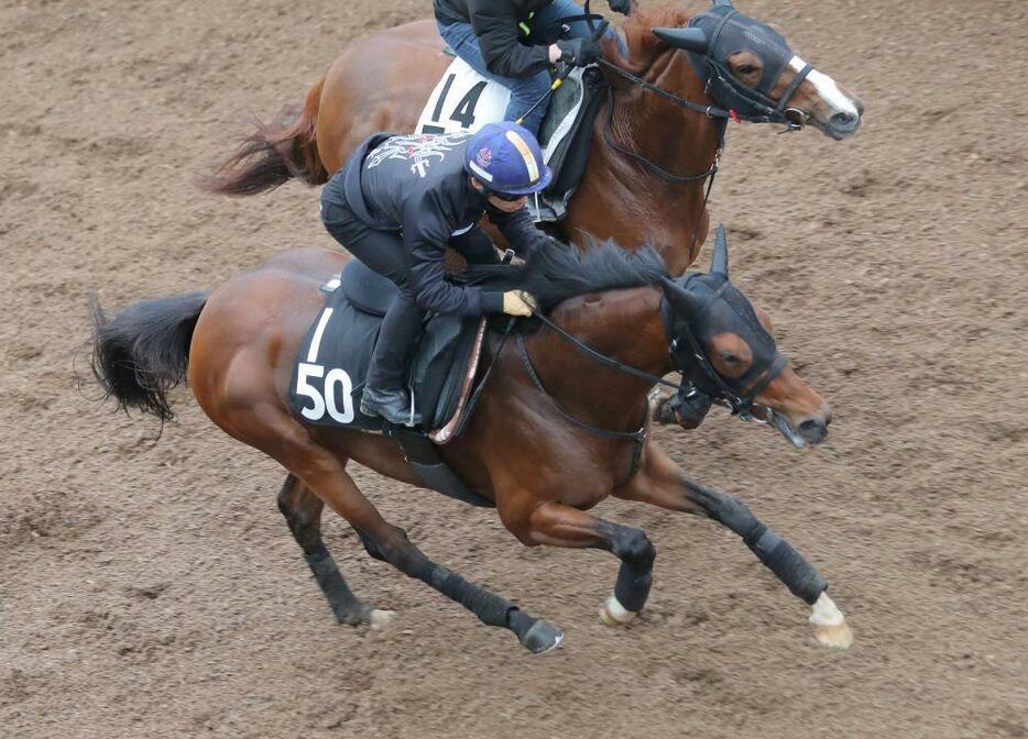 前走は青葉賞の2着馬と少差だったヴェローチェエラ