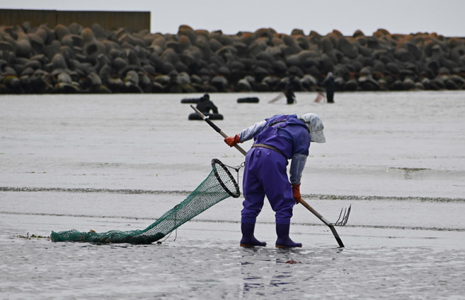 干潮前後2時間に行われる浜中漁協のホッキ鎌掘り漁。さおの先端の感覚を頼りに熟練の技でホッキを捕る（11日）