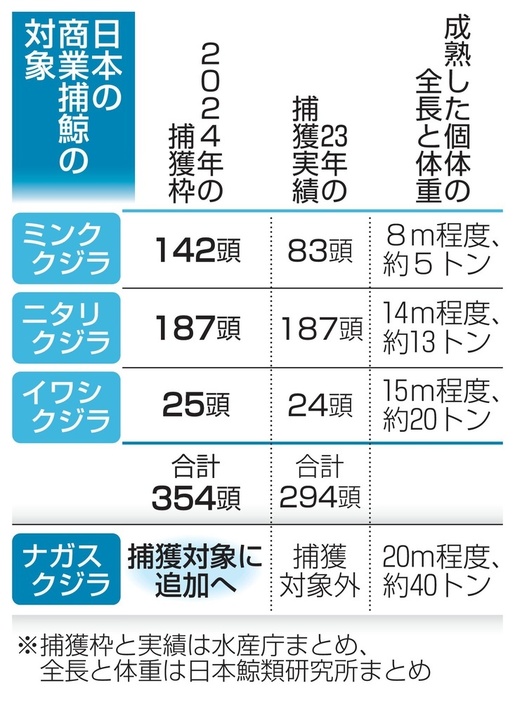 日本の商業捕鯨の対象