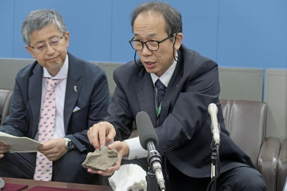 記者会見する群馬県立自然史博物館の木村敏之学芸員（右）＝16日午前、前橋市