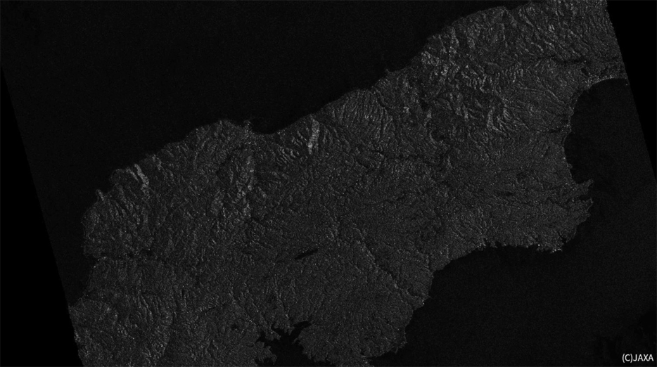 2024年1月1日深夜の「だいち2号」による能登半島観測画像(データ提供:JAXA)