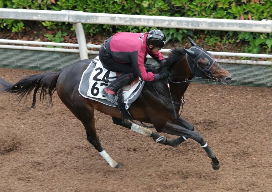 強力な鞍上を背にロードデルレイが重賞制覇を狙う