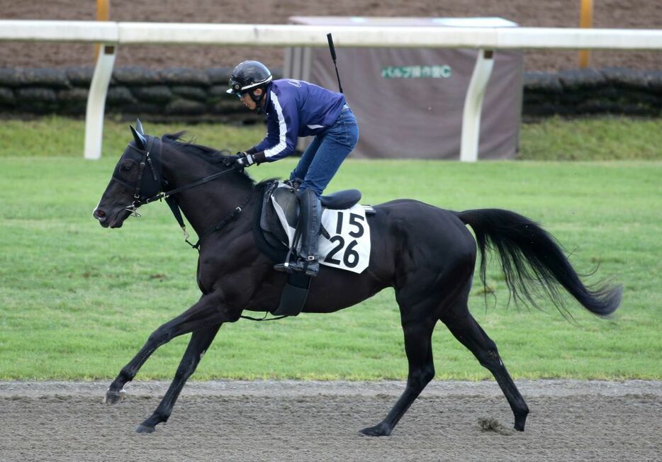 京都巧者ニホンピロキーフの食い込みに注意