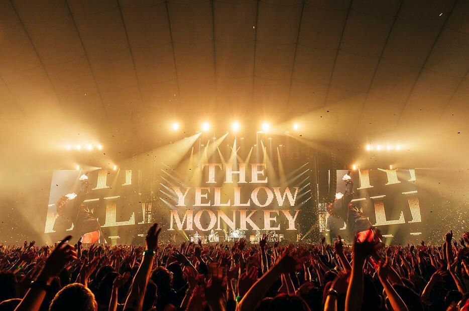4月27日東京ドーム「THE YELLOW MONKEY SUPER BIG EGG 2024 "SHINE ON"」  撮影：横山マサト