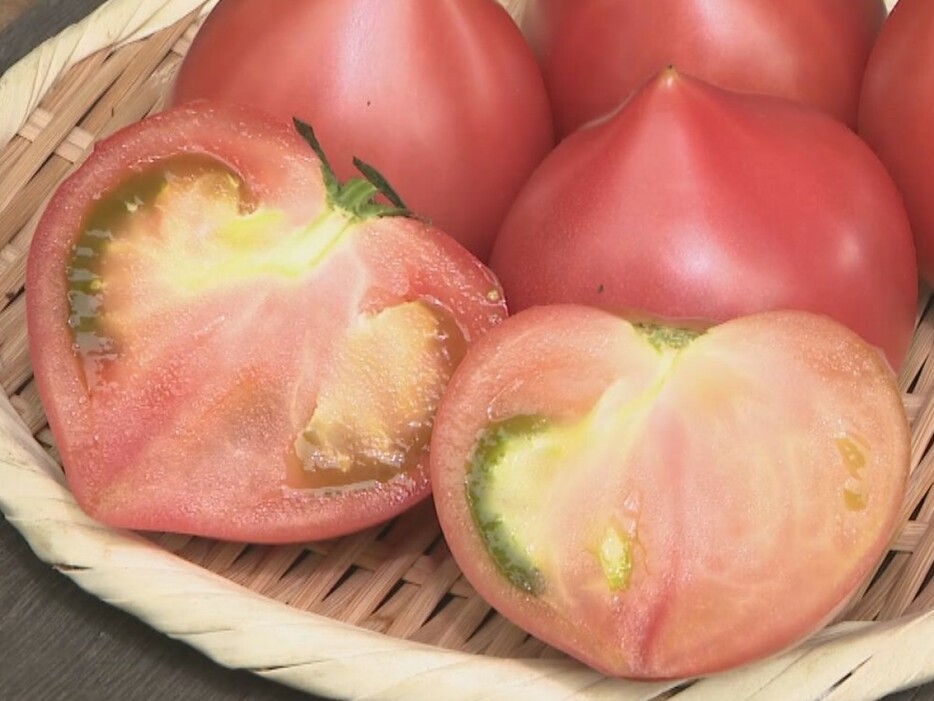 「幻のトマト」と呼ばれる「ルネッサンストマト」 愛知県設楽町