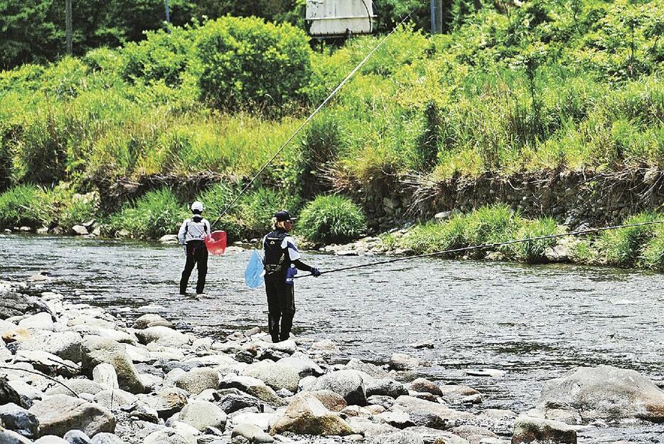 解禁初日から日置川で竿を伸ばす釣り人（26日、和歌山県田辺市中辺路町近露で）