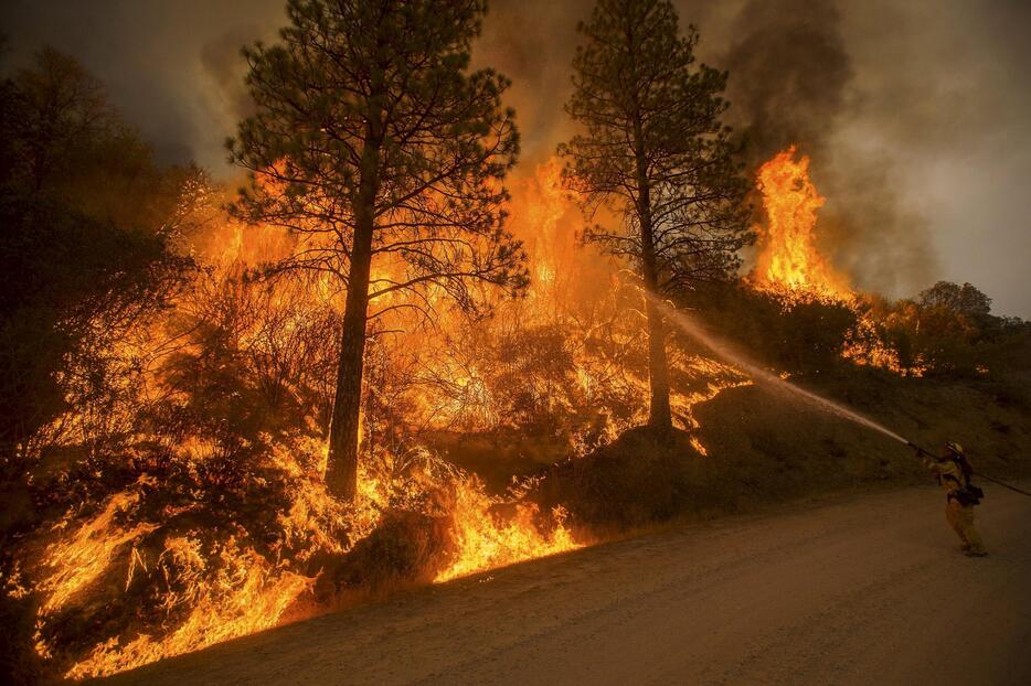 大規模な山火事で数千人が避難＝2015年9月13日（写真：ロイター/アフロ）