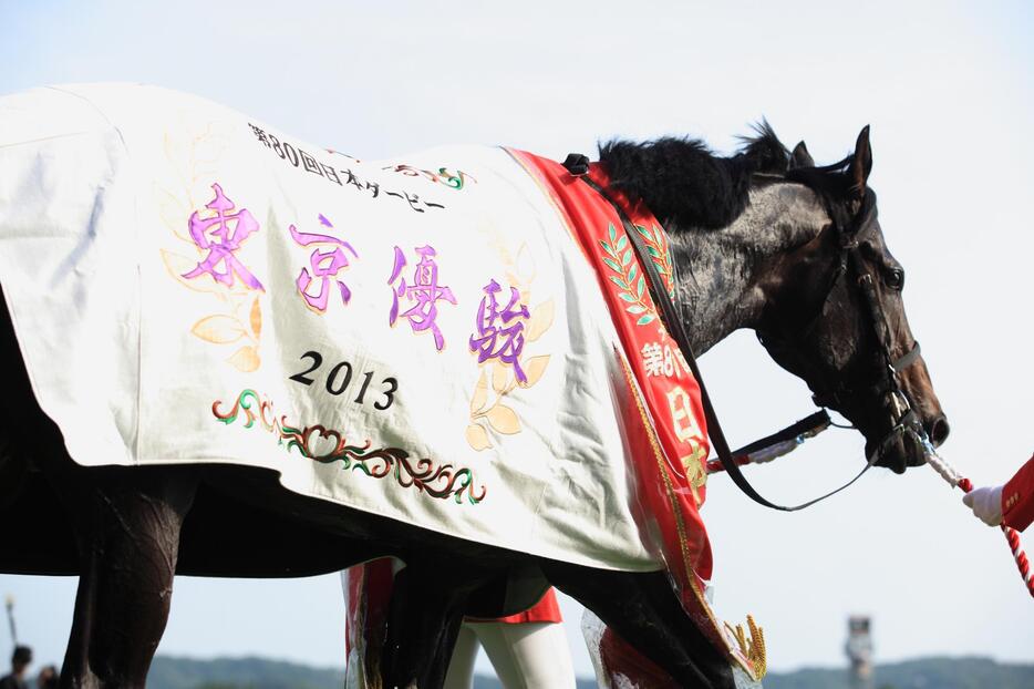 屈けん炎を発症して引退。 戦績は14戦7勝（うち海外2戦1勝）。凱旋門賞制覇の夢は産駒に託された＝2013年5月26日（写真：中原義史/アフロ）