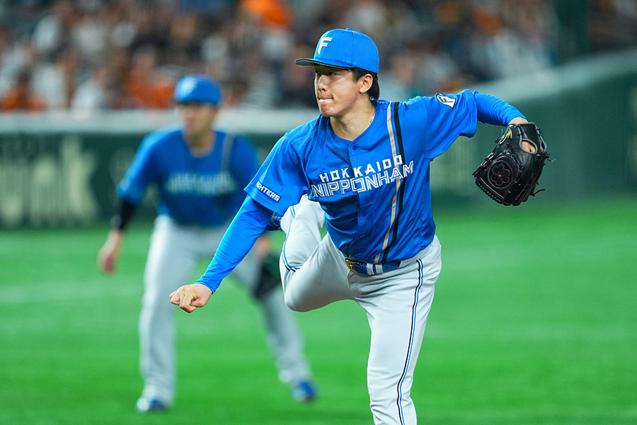 ハムの人　2 ニッポンハム お届けネット 【送料無料】鎌倉ハム富岡商会の