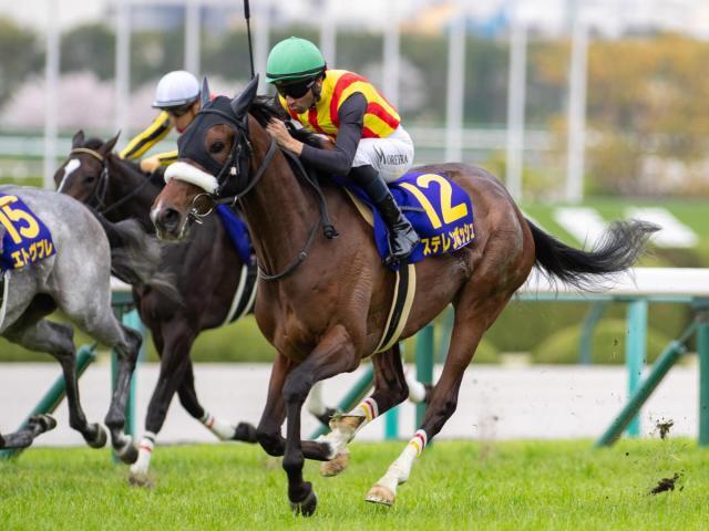 2025年 桜花賞 ステレンボッシュ ポスター 2025桜花賞ポスター｜日本サイン競馬会
