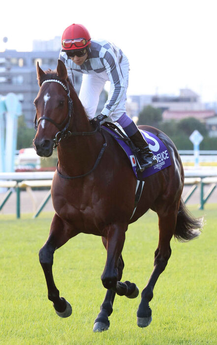 おドウさん、嬉しそう」武豊騎手とドウデュースが再会「また一緒