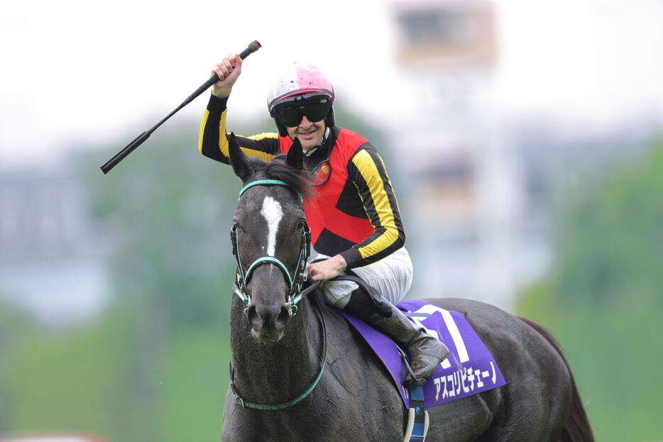 洋書 フランス語 馬 販売情報 Deauville 競馬 ドーヴィル 2002 洋書 フランス語 馬 販売情報 Deauville 競馬 ドーヴィル 2002