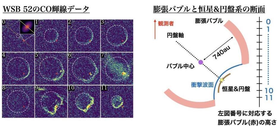 宇宙の法則('90プロジェクト・アルシェ) 惑星形成 | アルマ望遠鏡 10年の成果 | アルマ望遠鏡科学観測10周年