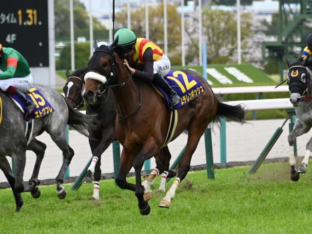 JRA ステレンボッシュ 御駿印2枚&的中馬券2枚 オマケ有 JRA ステレンボッシュ 御駿印2枚&的中馬券2枚 オマケ