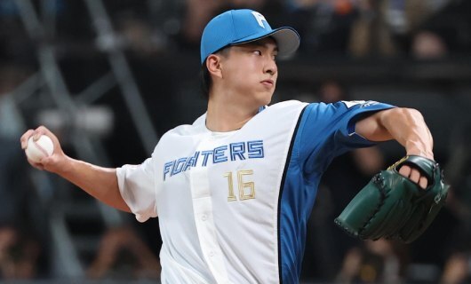 北海道日本ハムファイターズ 16 達孝太 両面等身大タペストリー 達 孝太 | 選手名鑑 | 北海道日本ハムファイターズ