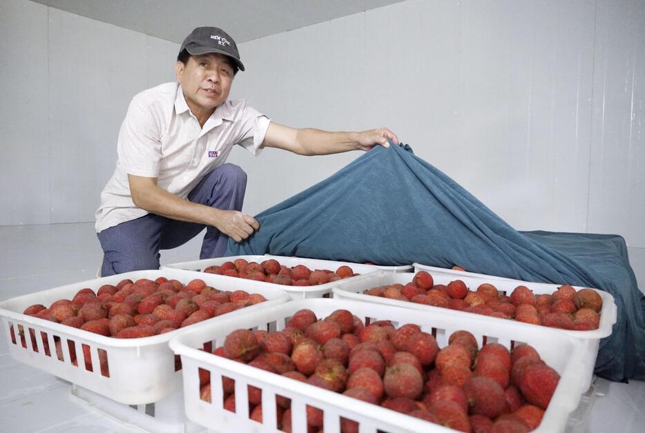 ベトナムのライチ ベトナムの種なしライチ、日本市場を狙う 最大生産国は中国