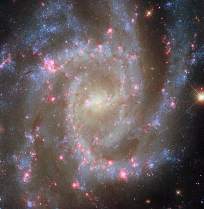 トパーズの流星 3枚 トパーズの￼流星3枚