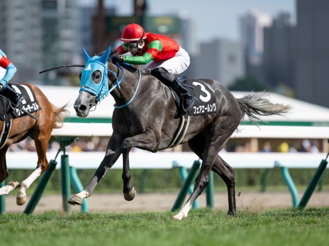 Queen徹底活用マニュアル 万馬券製造機Queen Special 〈競馬予… クイーンS予想】秋に飛躍誓う女王候補が集う 基本的には先行馬