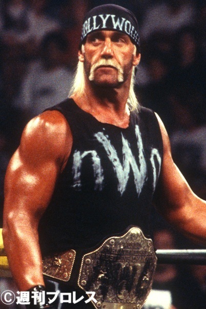ビンテージ　ハルク・ホーガン　WWE　WWF 1991年　一番 GIJOE ビンテージ ハルク・ホーガン WWE WWF 1991年 一番 GIJOE