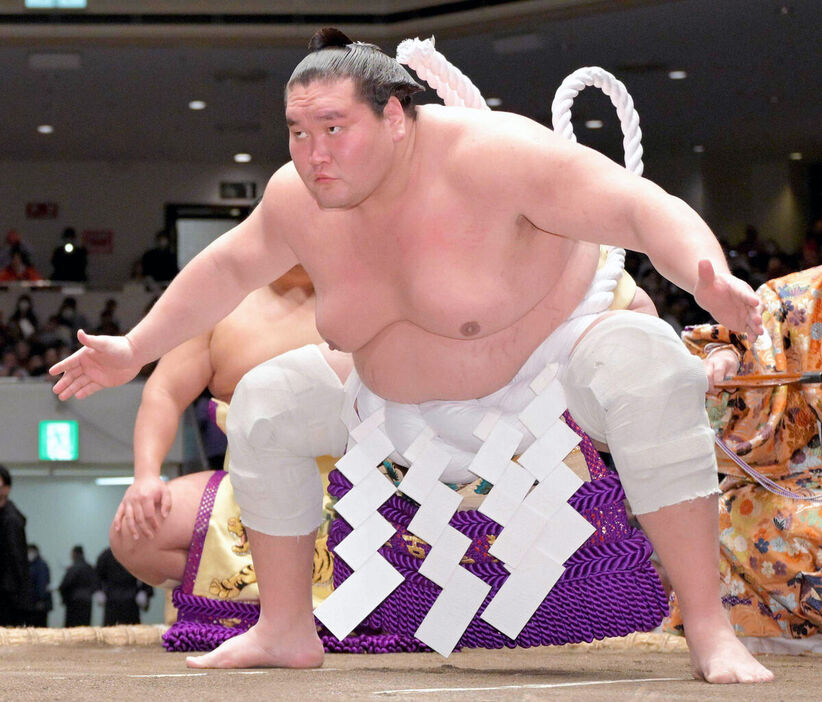 相撲博物館で特別展「第73代横綱 照ノ富士」開催 秋場所初日