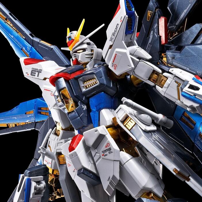 機動戦士ガンダムSEED DESTINY＞RG ストライクフリーダム