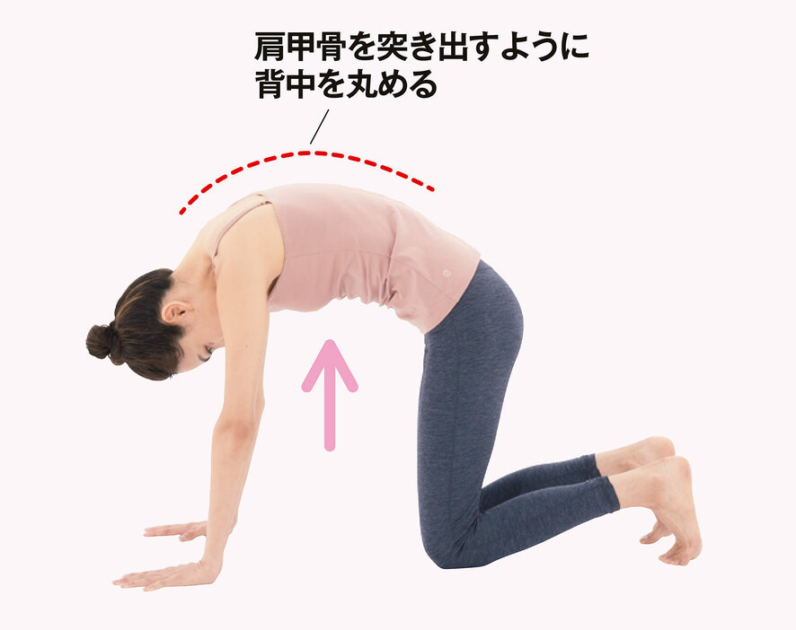 肩甲骨を突き出すように背中を丸める　トップス・レギンス／インターテック（suria）